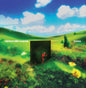 Rainbow Kitten Surprise - bones [LP]