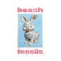 Beach Fossils - Bunny [Powder Blue LP]