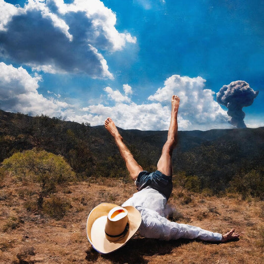 the album cover for Geese - 3D Country [LP]