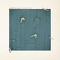 the album cover for Here We Go Magic - Different Ship (Blue) [Colored Vinyl] (Can)