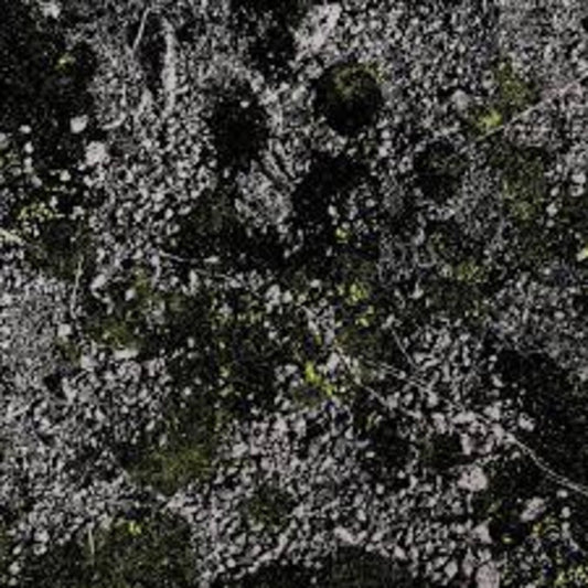 King Gizzard & The Lizard Wizard - Infest The Rats Nest (Live At Red Rocks 2022) [LP]