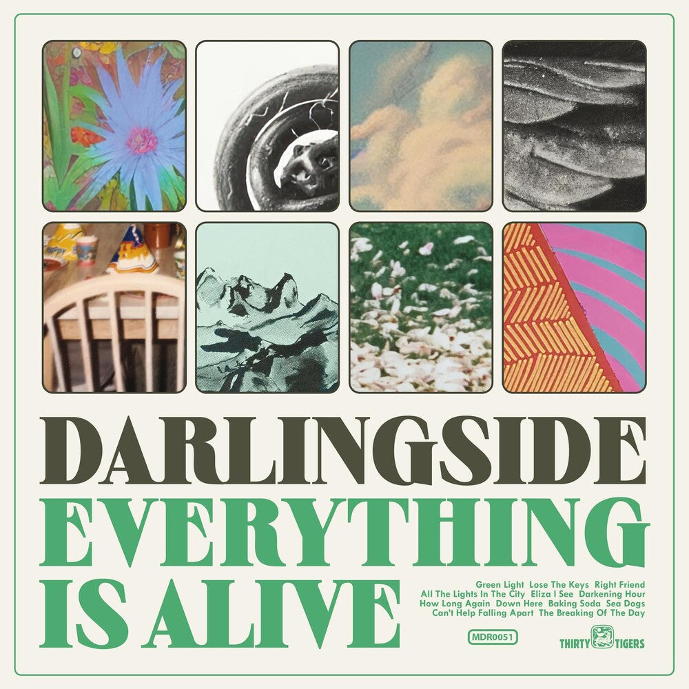 Darlingside - Everything Is Alive [LP]