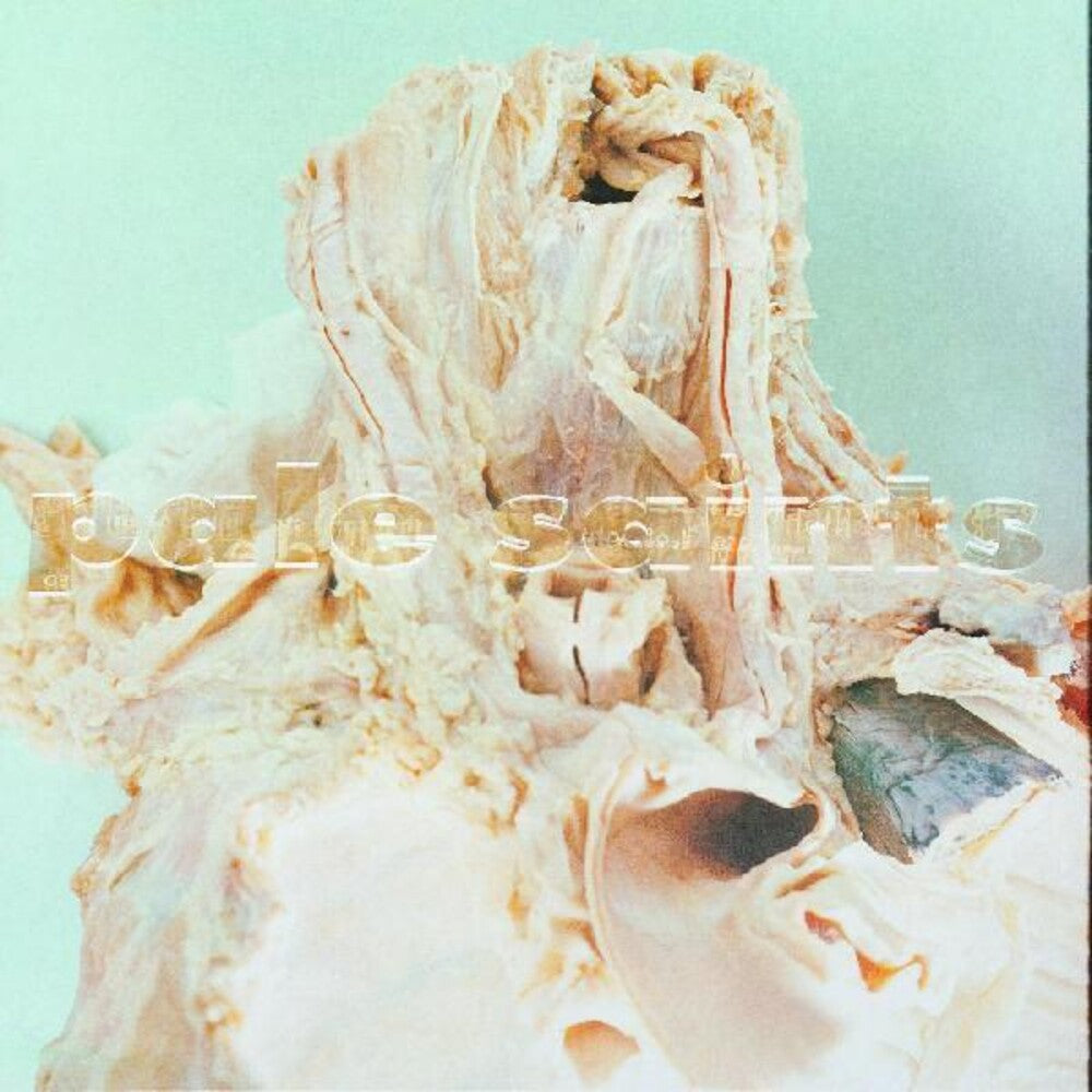 Pale Saints - In Ribbons [Digipak]