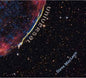 Steve Maclean - Universal (Hol) [CD]