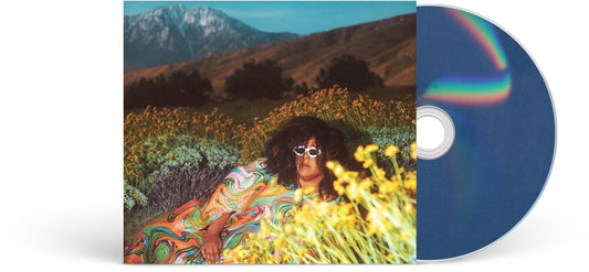 Brittany Howard - What Now [CD]