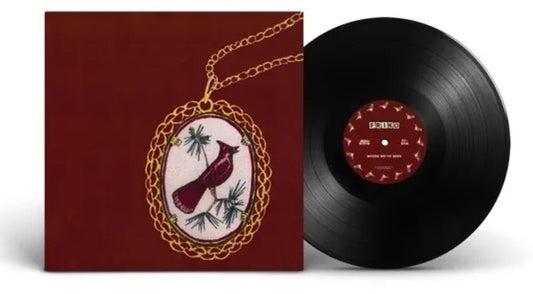 Friko - Where We've Been, Where We Go From Here [LP]