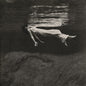 Bill Evans  / Hall,Jim - Undercurrent [LP]