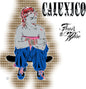 the album cover for Calexico - Feast Of Wire (Bonus Track Version)
