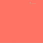 Tribute To Neu / Various (Cvnl) (Iex) - Tribute To Neu / Various [Clear Vinyl] [Indie Exclusive]