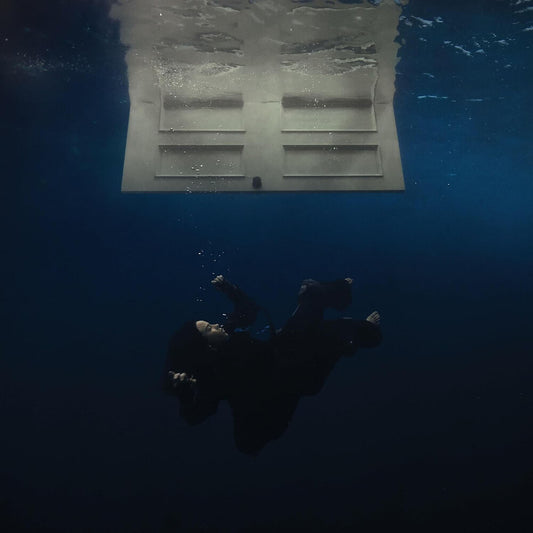 Billie Eilish - HIT ME HARD AND SOFT [Recycled Black LP]