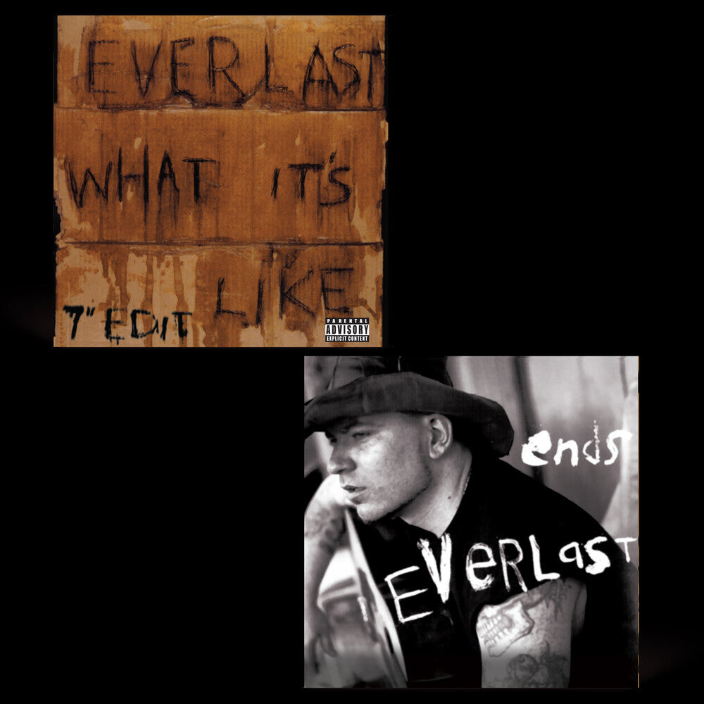 Everlast - What It's Like/Ends [LP]