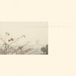 Wild Nothing - Golden Haze - Golden Haze [Colored Vinyl] (Gol)