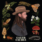 Caleb Caudle - Sweet Critters [LP]
