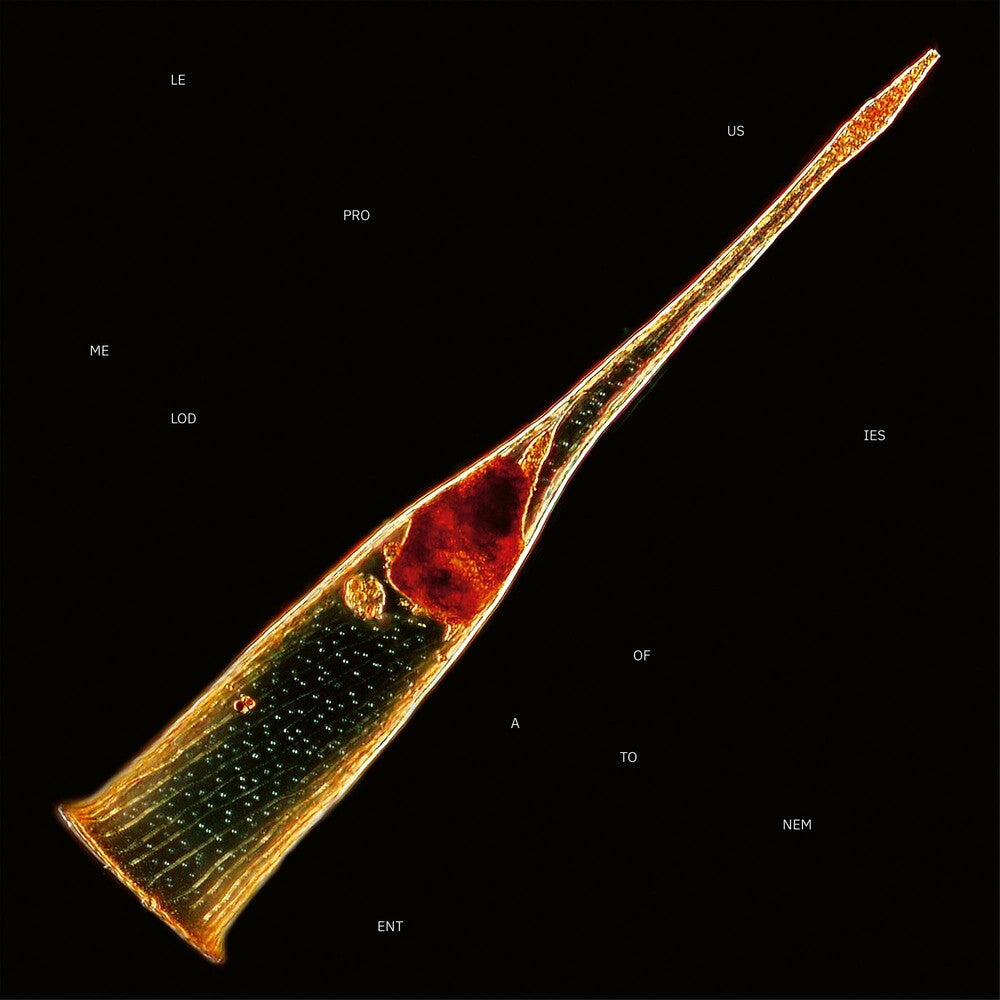 Leprous - Melodies Of Atonement [Colored Vinyl] (Gate) (Grn)