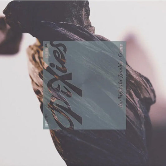 Pixies - The Night The Zombies Came [CD]