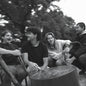 The Belair Lip Bombs - Lush Life [Indie exclusive Pink LP]
