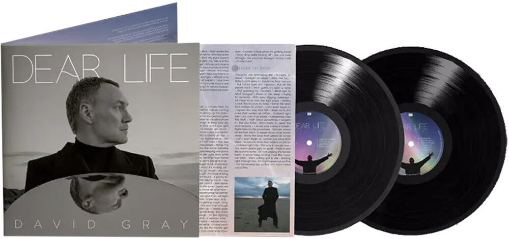 David Gray - Dear Life [LP]