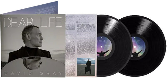 David Gray - Dear Life [LP]