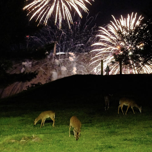 Home Is Where - Hunting Season - Green [Colored Vinyl] (Grn)