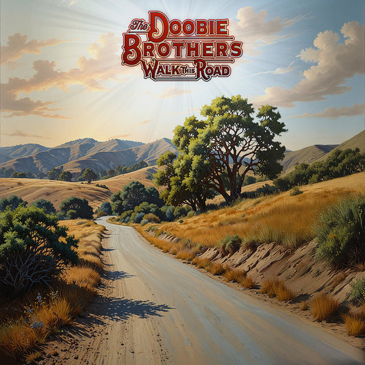 Doobie Brothers - Walk This Road [LP]