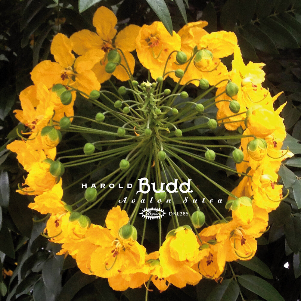 Harold Budd - Avalon Sutra (Bonus Cd) [Limited Edition]