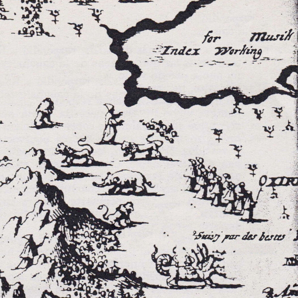 Index For Working Musik - Which Direction Goes The Beam [LP]