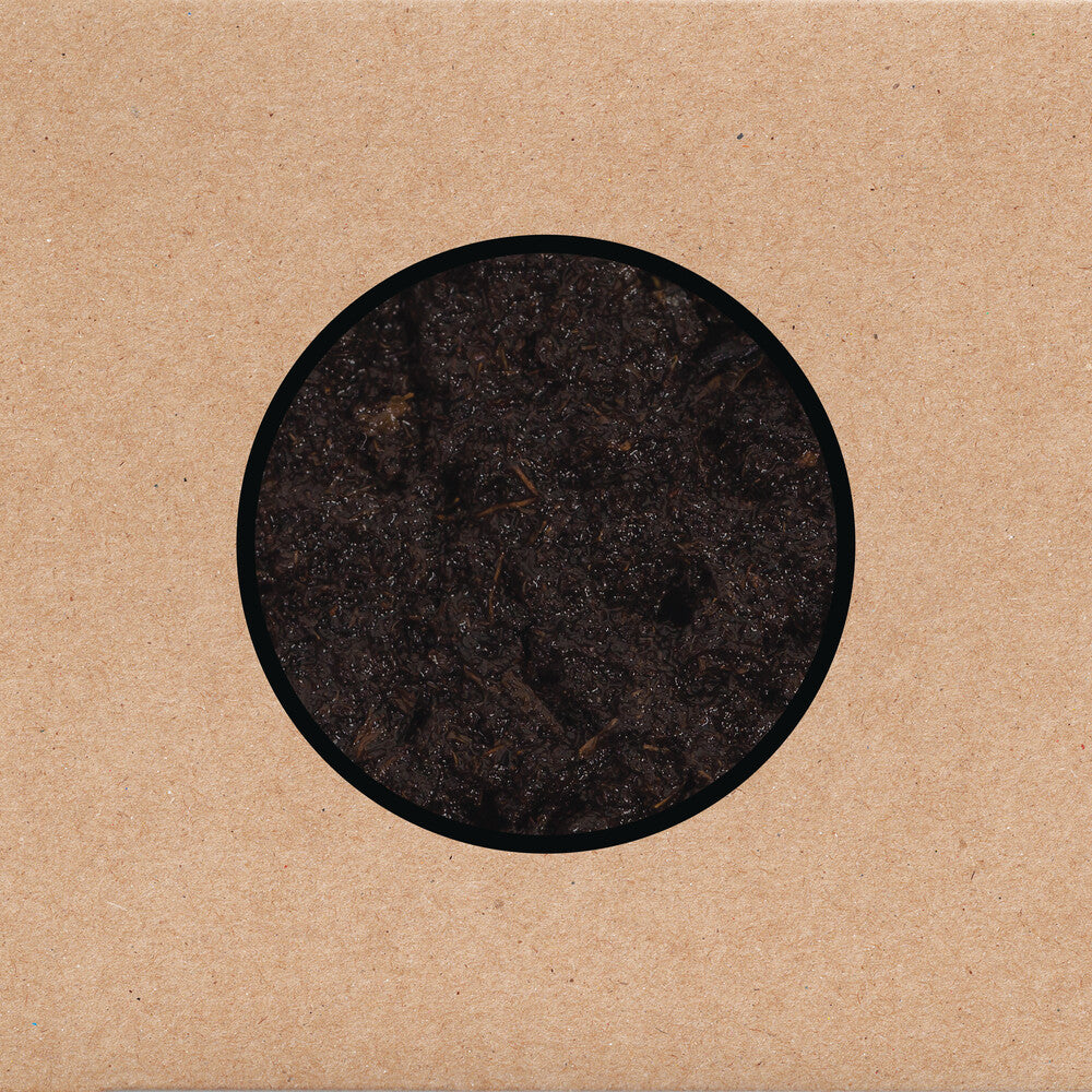 Swans - Birthing [CD]