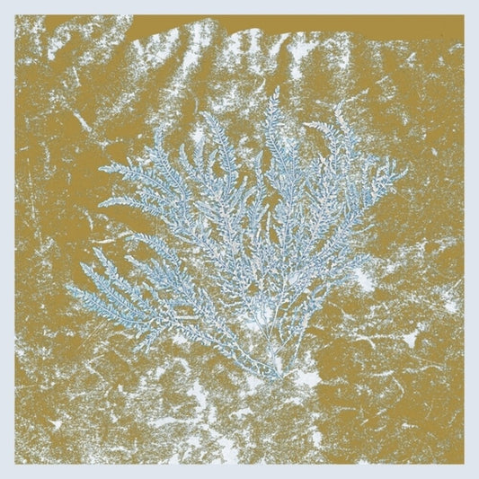 Huerco S - For Those Of You Who Have Never [LP]