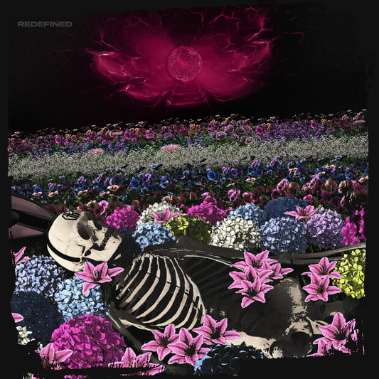 Dead Rabbitts - Redefined [CD]