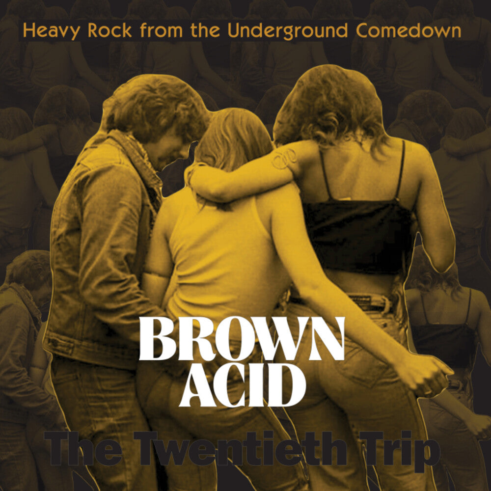 Brown Acid Twentieth Trip / Various - Brown Acid Twentieth Trip / Various [LP]