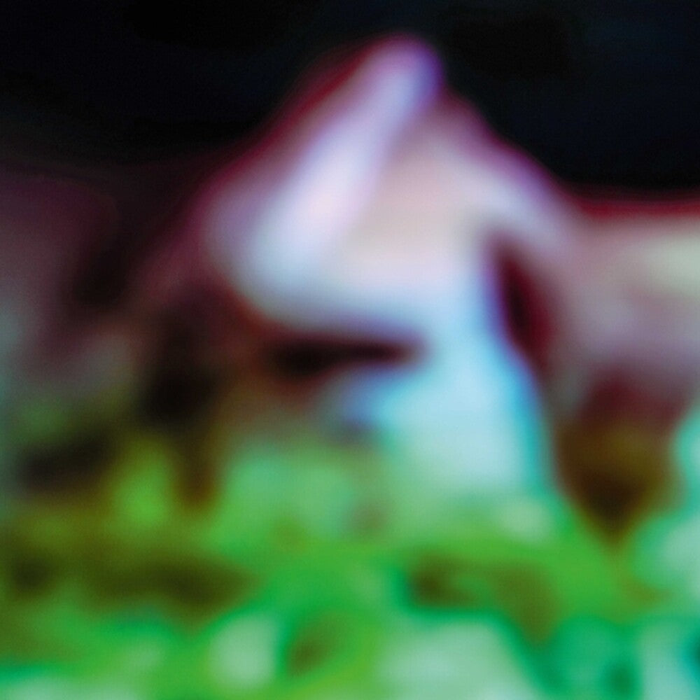 Hair & Treasure - Disc Rot [LP]