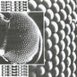 Spleen - Demos (Uk) [LP]