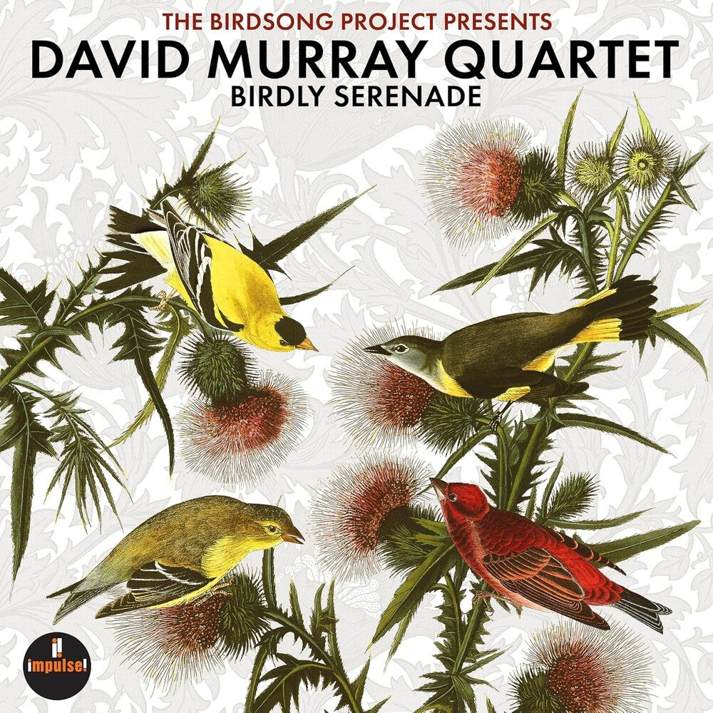 the album cover for Murray, David - Birdly Serenade