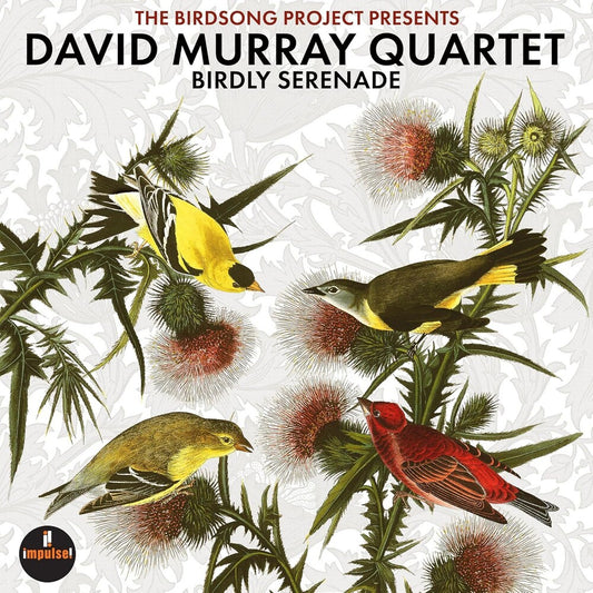 the album cover for Murray, David - Birdly Serenade