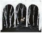 These New Puritans - Crooked Wing [CD]