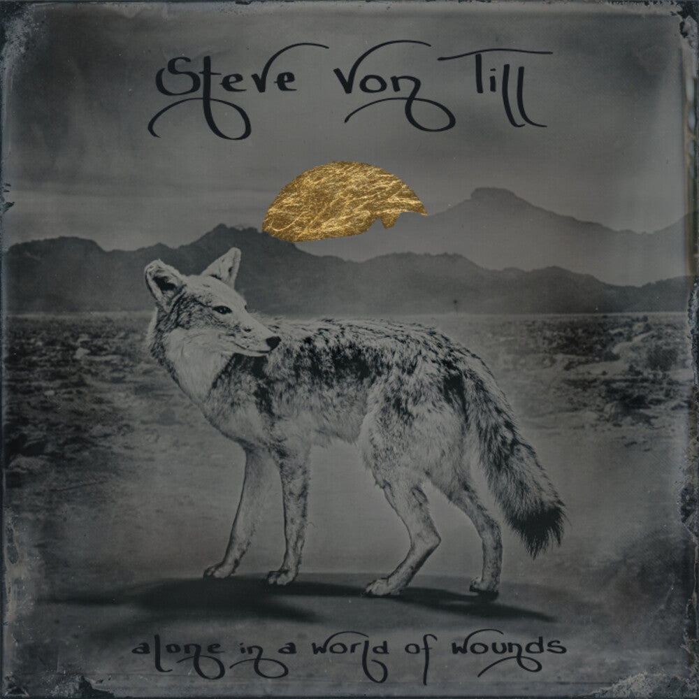 Von Till, Steve - Alone In A World Of Wounds [CD]