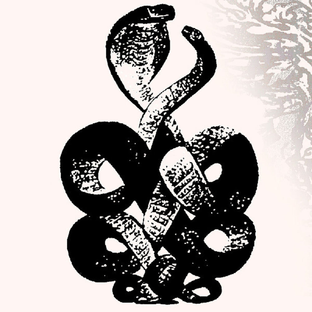 Bardo Pond - Volume 4 & 5 (Gate) [Download Included]