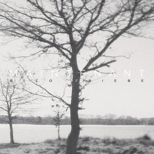 Rico Friebe - Maintenant (Aus) [LP]