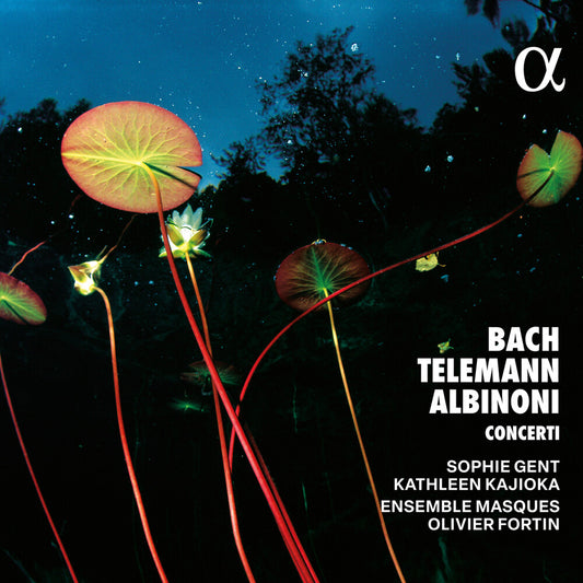 Ensemble Masques / Albinoni - Bach Telemann & Albinoni: Concerti [CD]