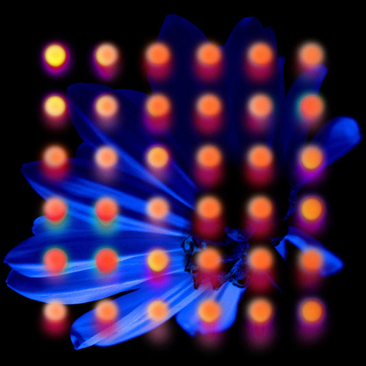 Anberlin - Nevertake [CD]