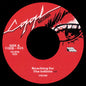 Visions - Reaching For The Infinite b/w Back To Fire [7" Vinyl]