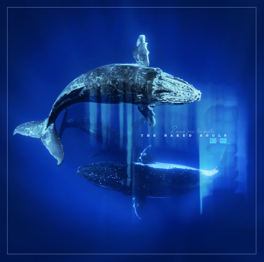 Naked Soul - Reverb From The Depths [LP]