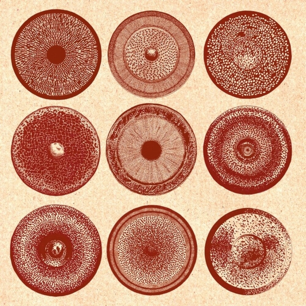 Ensemble Nist-Nah - Spilla [CD]