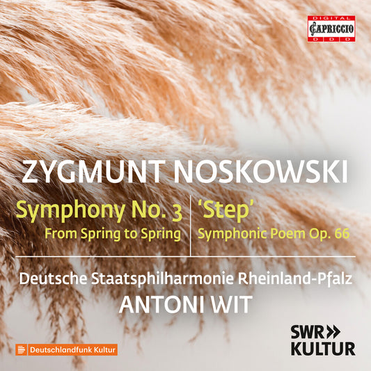 Deutsche Staatsphilharmonie Rheinland-Pfalz - Zygmunt Noskowski: Sym No. 3 [CD]
