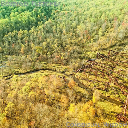 Bendigo Fletcher - Consensual Wisdom (Beig) [Colored Vinyl]