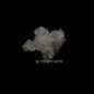 Sault - Acts Of Faith (Uk) [CD]