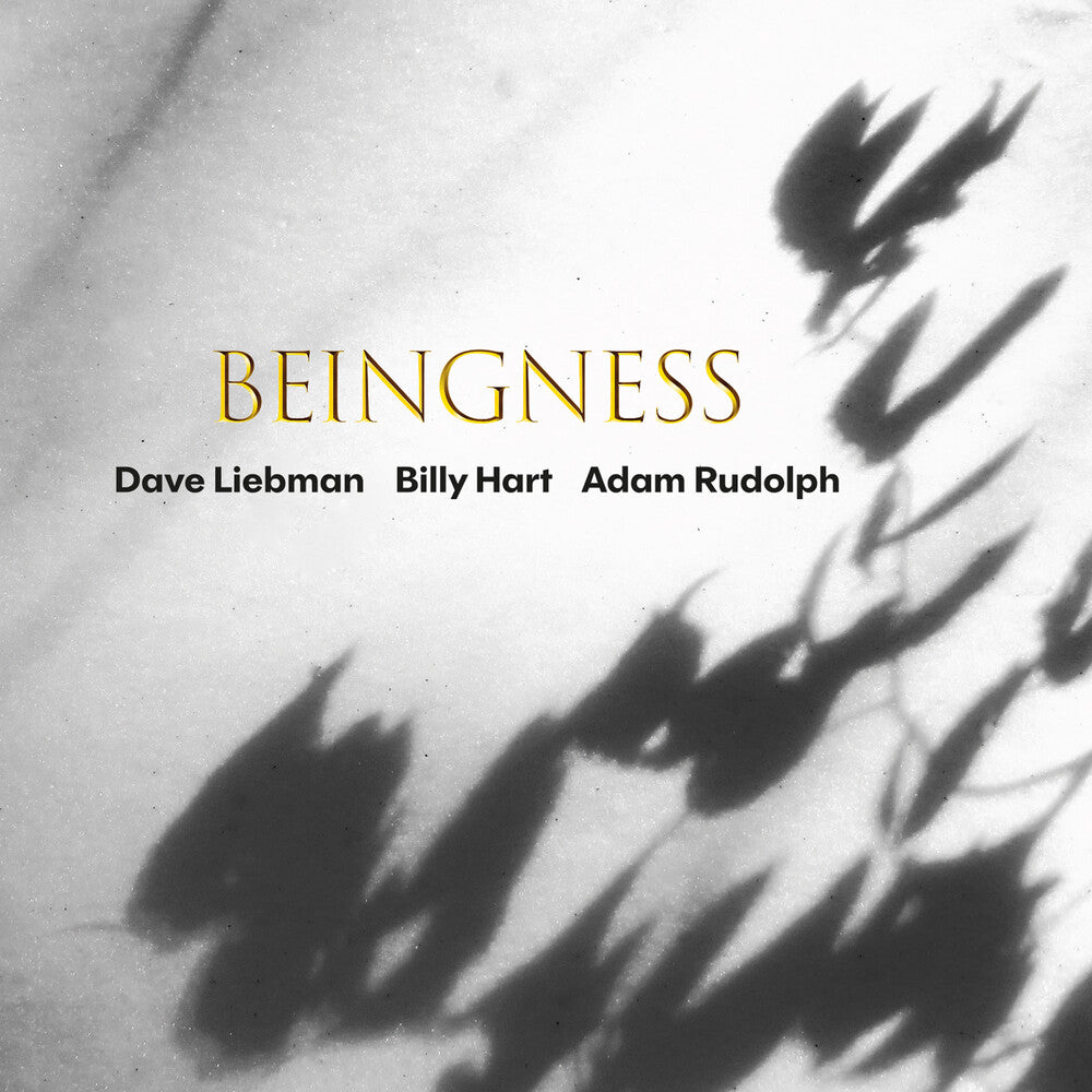 Dave Liebman  / Hart,Billy / Rudolph,Adam - Beingness [CD]