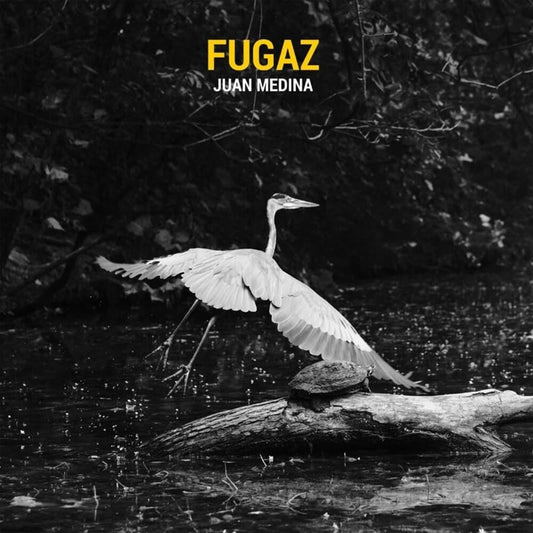 Juan Medina - Fugaz (Spa) [LP]