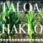 John Depriest - Taloa Haklo [CD]