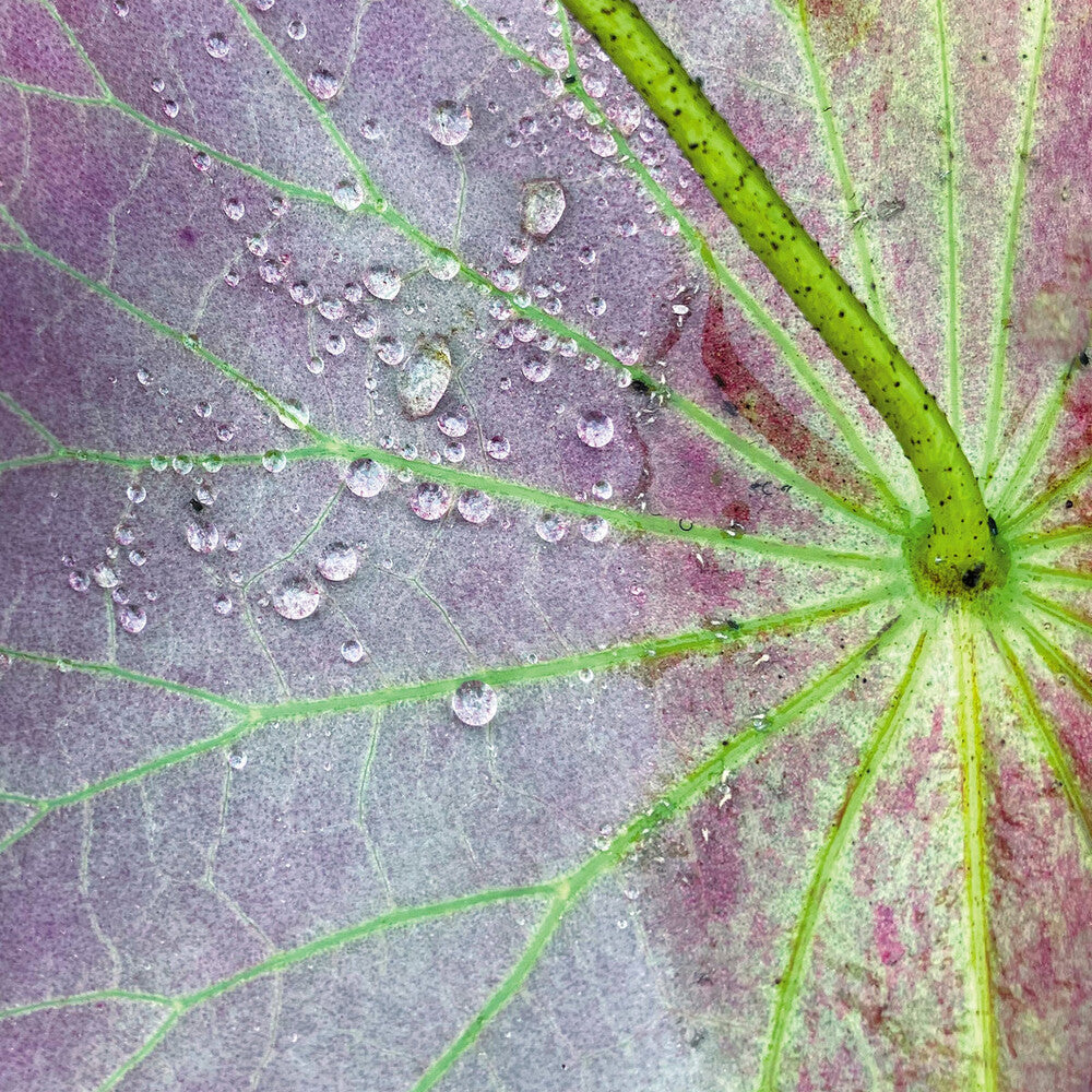 Pre-Order: Peter Chilvers - Dust 2 (10in) [LP]